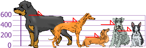 The dog’s heights (in mm) are: 600, 470, 170, 430, and 300